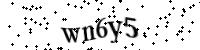 Please type the letters and numbers below