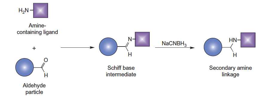 Aldehyde particles can be reacted with amine-containing proteins or other molecules