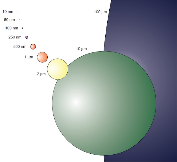 Comparison of particles size commonly used in biological applications