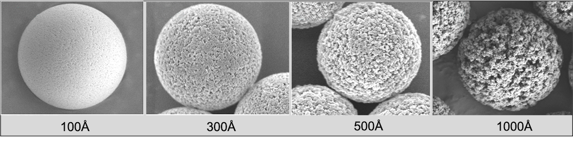 PS/DVB with different pore size