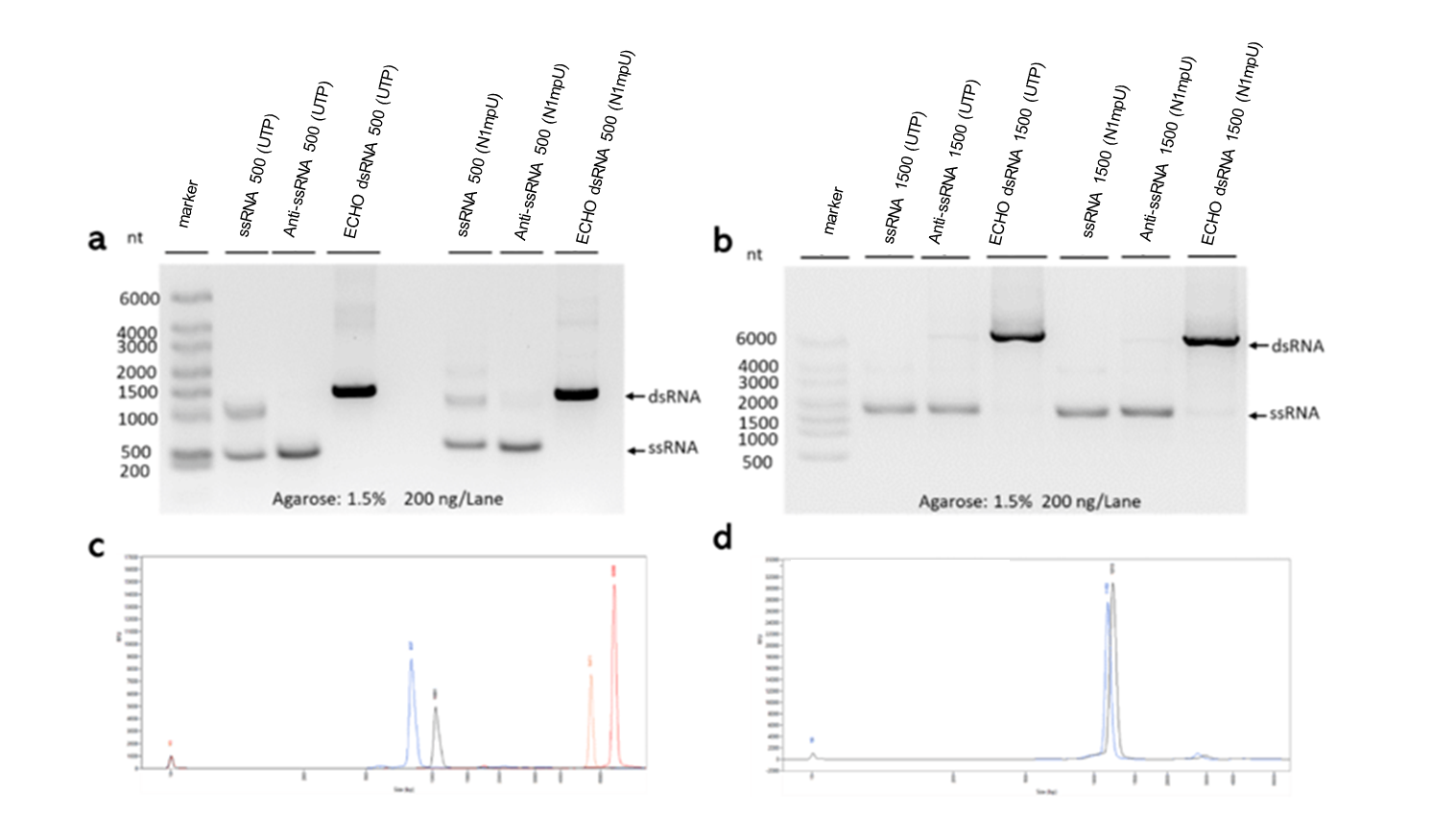  Agarose gel electrophoresis (AGE) and capillary electrophoresis (CE) of dsRNA Controls